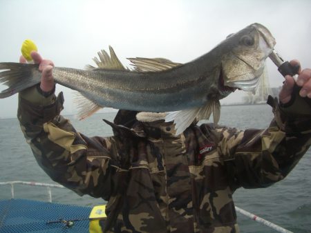 オリジナルメーカー海づり公園(市原市海づり施設) 釣果