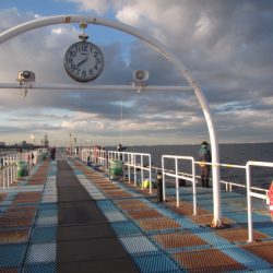 オリジナルメーカー海づり公園(市原市海づり施設) 釣果