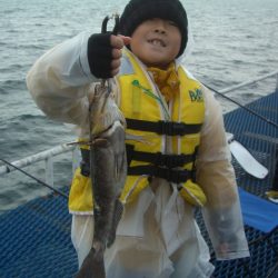 オリジナルメーカー海づり公園(市原市海づり施設) 釣果