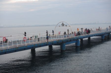 オリジナルメーカー海づり公園(市原市海づり施設) 釣果