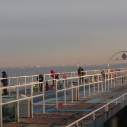 オリジナルメーカー海づり公園(市原市海づり施設) 釣果