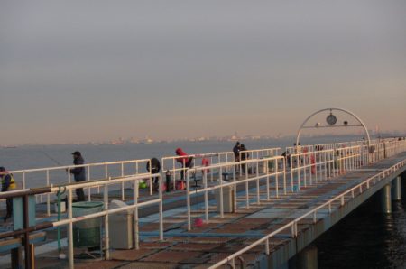 オリジナルメーカー海づり公園(市原市海づり施設) 釣果