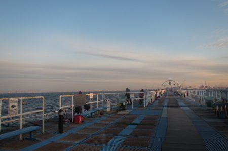 オリジナルメーカー海づり公園(市原市海づり施設) 釣果