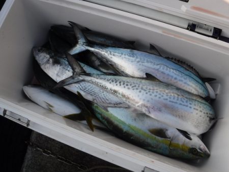 BlueNote Fishing Taxi 釣果