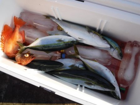 BlueNote Fishing Taxi 釣果