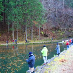 小菅トラウトガーデン 釣果