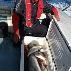 第五慶門丸 釣果