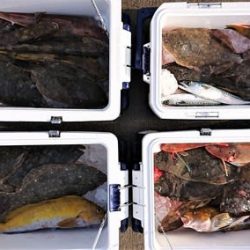 気仙沼 つり丸 釣果