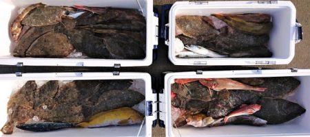 気仙沼　つり丸 釣果