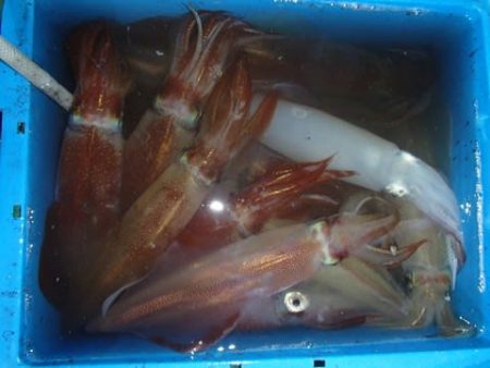 第二むつ漁丸 釣果