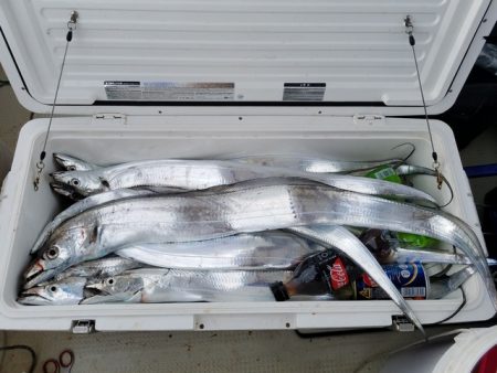 遊漁船　ニライカナイ 釣果