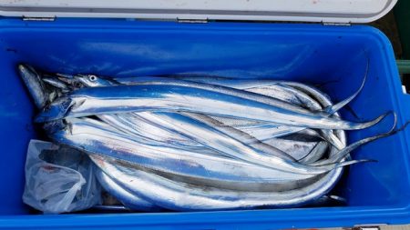 遊漁船 ニライカナイ 釣果