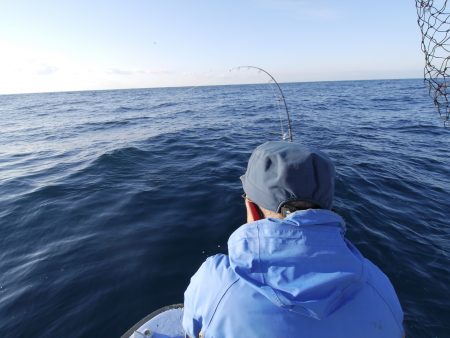 松鶴丸 釣果