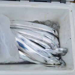 遊漁船 ニライカナイ 釣果