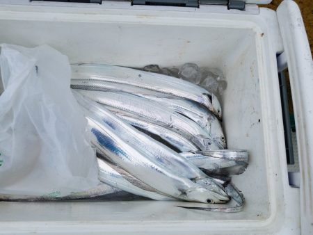 遊漁船 ニライカナイ 釣果