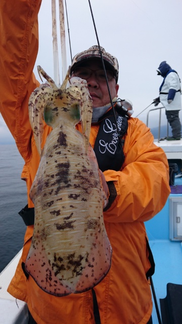 海晴丸 釣果