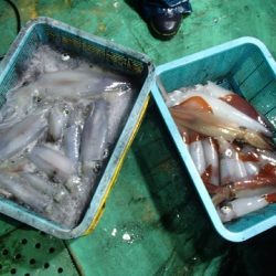 第二むつ漁丸 釣果