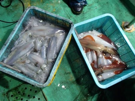 第二むつ漁丸 釣果