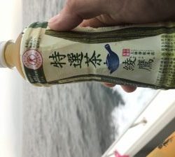 白墨丸 釣果