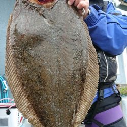 伊豆下田フィッシング 釣果