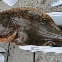 伊豆下田フィッシング 釣果