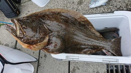 伊豆下田フィッシング 釣果