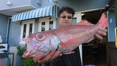 伊豆下田フィッシング 釣果