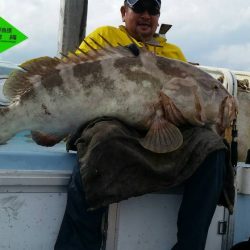 第五慶門丸 釣果