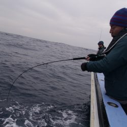 松鶴丸 釣果