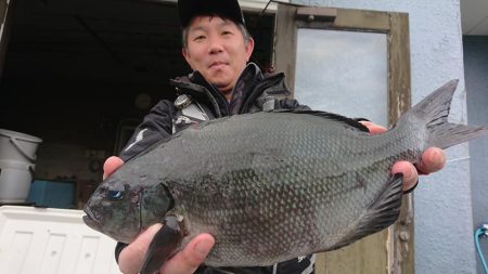伊豆下田フィッシング 釣果