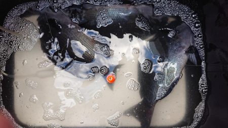 伊豆下田フィッシング 釣果