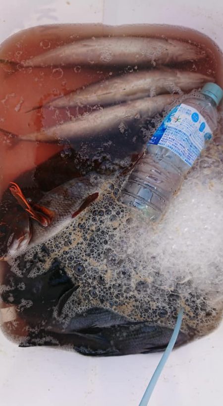 伊豆下田フィッシング 釣果