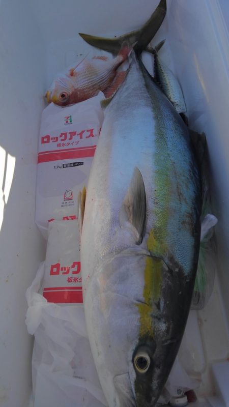 遊漁船 新鋭丸 釣果