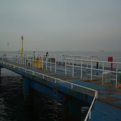 オリジナルメーカー海づり公園(市原市海づり施設) 釣果