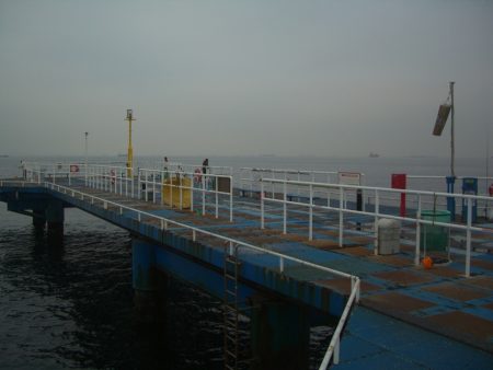 オリジナルメーカー海づり公園(市原市海づり施設) 釣果