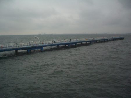 オリジナルメーカー海づり公園(市原市海づり施設) 釣果