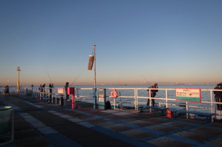 オリジナルメーカー海づり公園(市原市海づり施設) 釣果