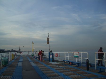 オリジナルメーカー海づり公園(市原市海づり施設) 釣果