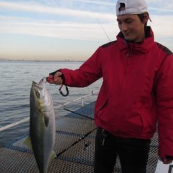 オリジナルメーカー海づり公園(市原市海づり施設) 釣果