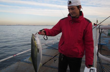 オリジナルメーカー海づり公園(市原市海づり施設) 釣果