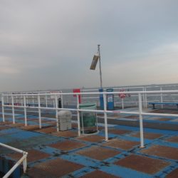 オリジナルメーカー海づり公園(市原市海づり施設) 釣果