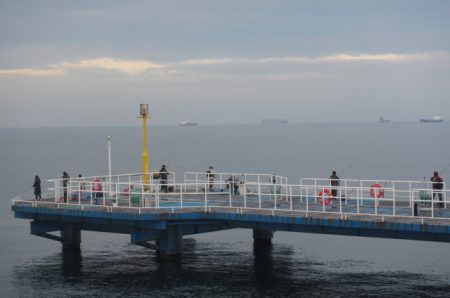 オリジナルメーカー海づり公園(市原市海づり施設) 釣果