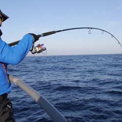 松鶴丸 釣果
