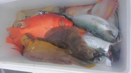 遊漁船 新鋭丸 釣果