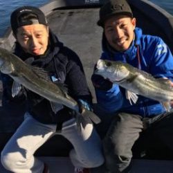 シーマジカル 釣果