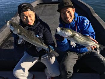 シーマジカル 釣果