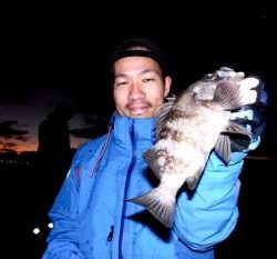 シーマジカル 釣果