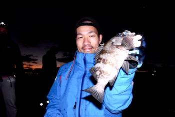 シーマジカル 釣果