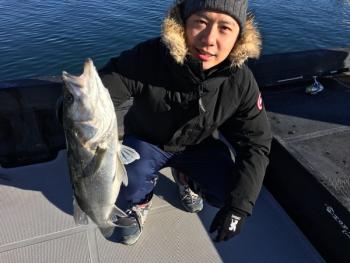 シーマジカル 釣果