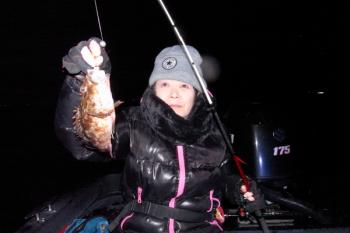 シーマジカル 釣果